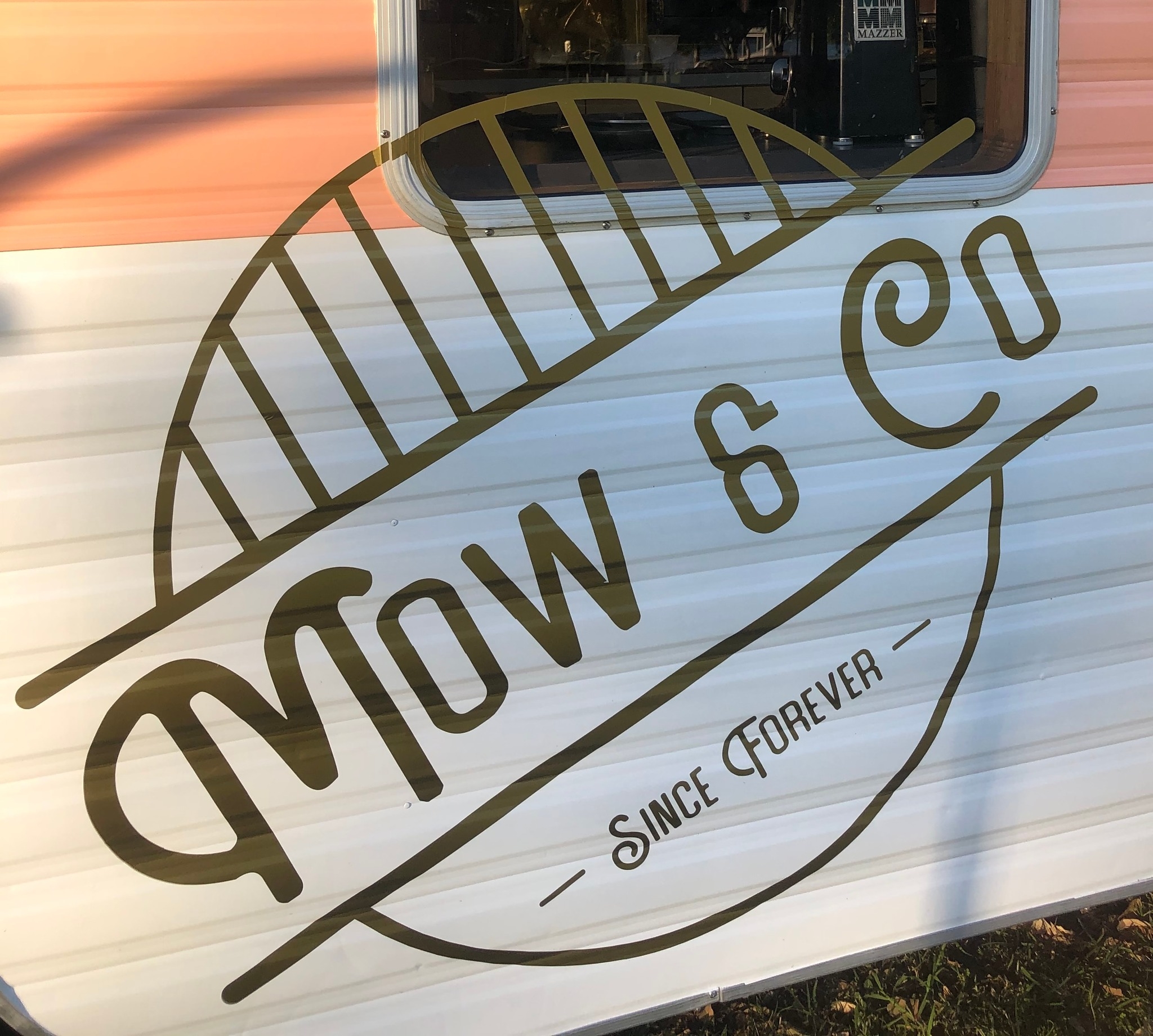 Luxury riverside picnic setup with coffee service in New Farm Park, Brisbane